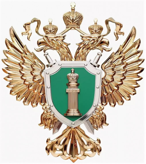 Прием прокурора Края 08.04.2025 г. по вопросам соблюдения прав граждан в сфере здравоохранения.